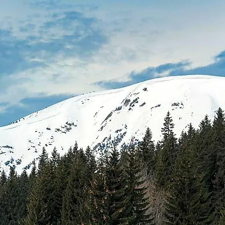 Aldrov 4* Spindleruv Mlyn